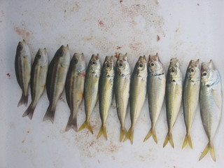 f0013998_173247.jpg