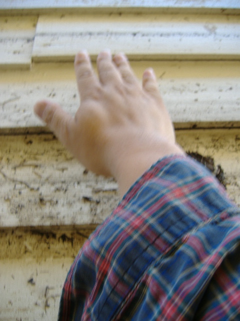 c0049302_6233364.jpg