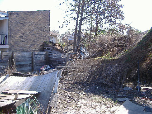 c0049302_6364387.jpg