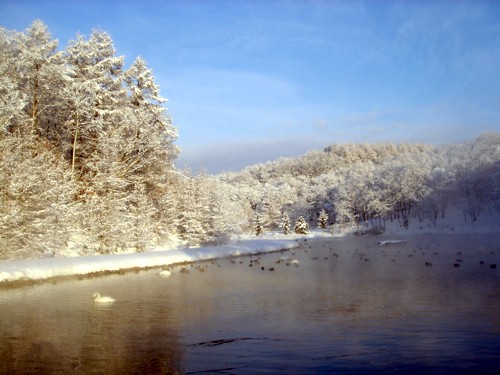 f0020302_9213064.jpg