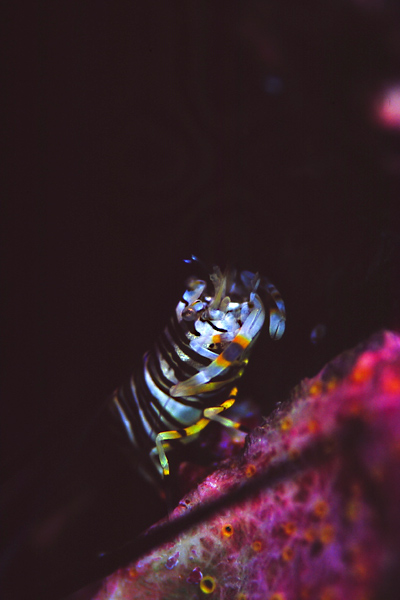 c0064907_1375656.jpg