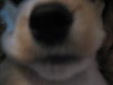 a0064213_23231783.jpg