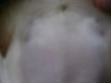 a0064213_23233644.jpg