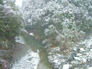 e0002820_22471681.jpg
