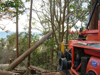 e0002820_2249254.jpg