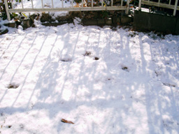 e0016120_16144689.jpg