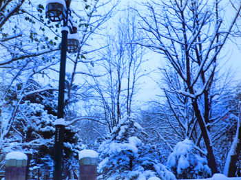 f0006732_21374490.jpg