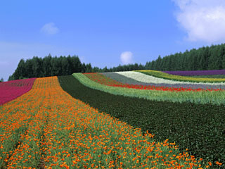 e0013640_15484089.jpg