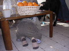 c0065643_20343843.jpg