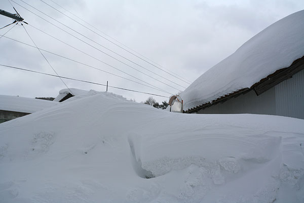 c0038290_1830156.jpg