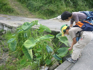 f0013998_17233780.jpg