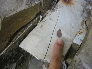 f0013998_17244244.jpg