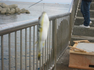 f0013998_17304616.jpg