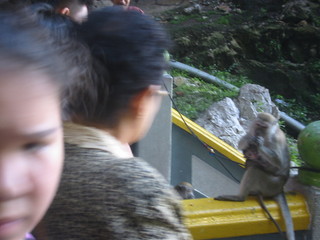 f0013998_1757474.jpg
