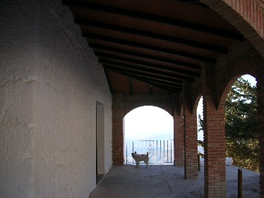 e0061699_8583126.jpg