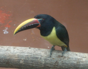 e0001907_23272857.jpg