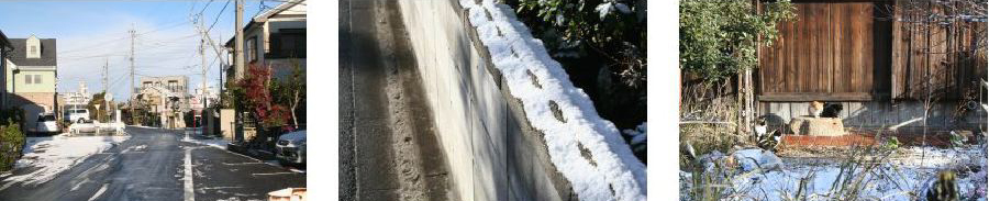c0011009_10474616.jpg