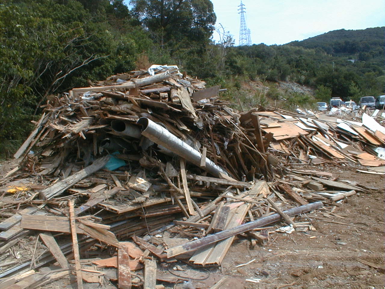 d0067909_13222672.jpg