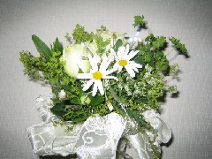 c0000816_1805191.jpg