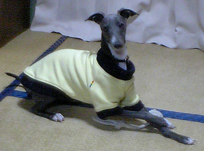 c0003217_001217.jpg