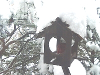 e0064128_1303966.jpg