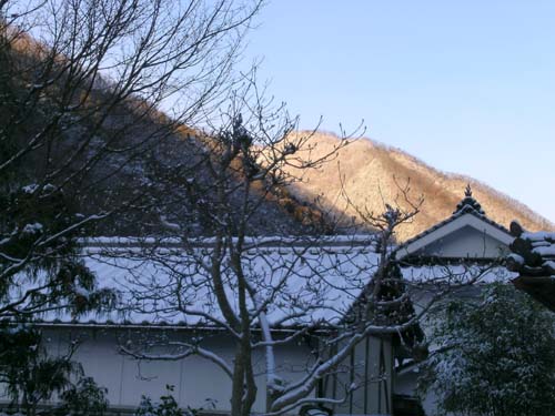 d0029829_2203614.jpg