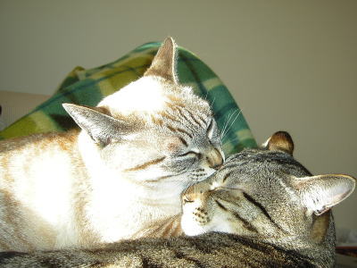 f0009031_0141658.jpg