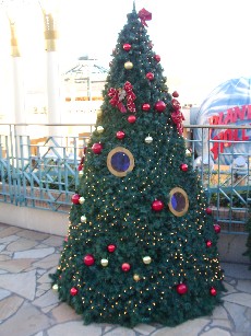 f0002833_0354511.jpg