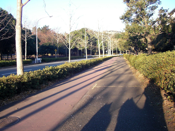 c0035838_958552.jpg