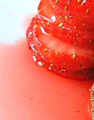 e0067538_021339.jpg