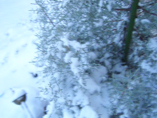 f0001543_22472675.jpg