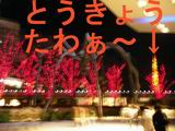 b0046148_12395544.jpg