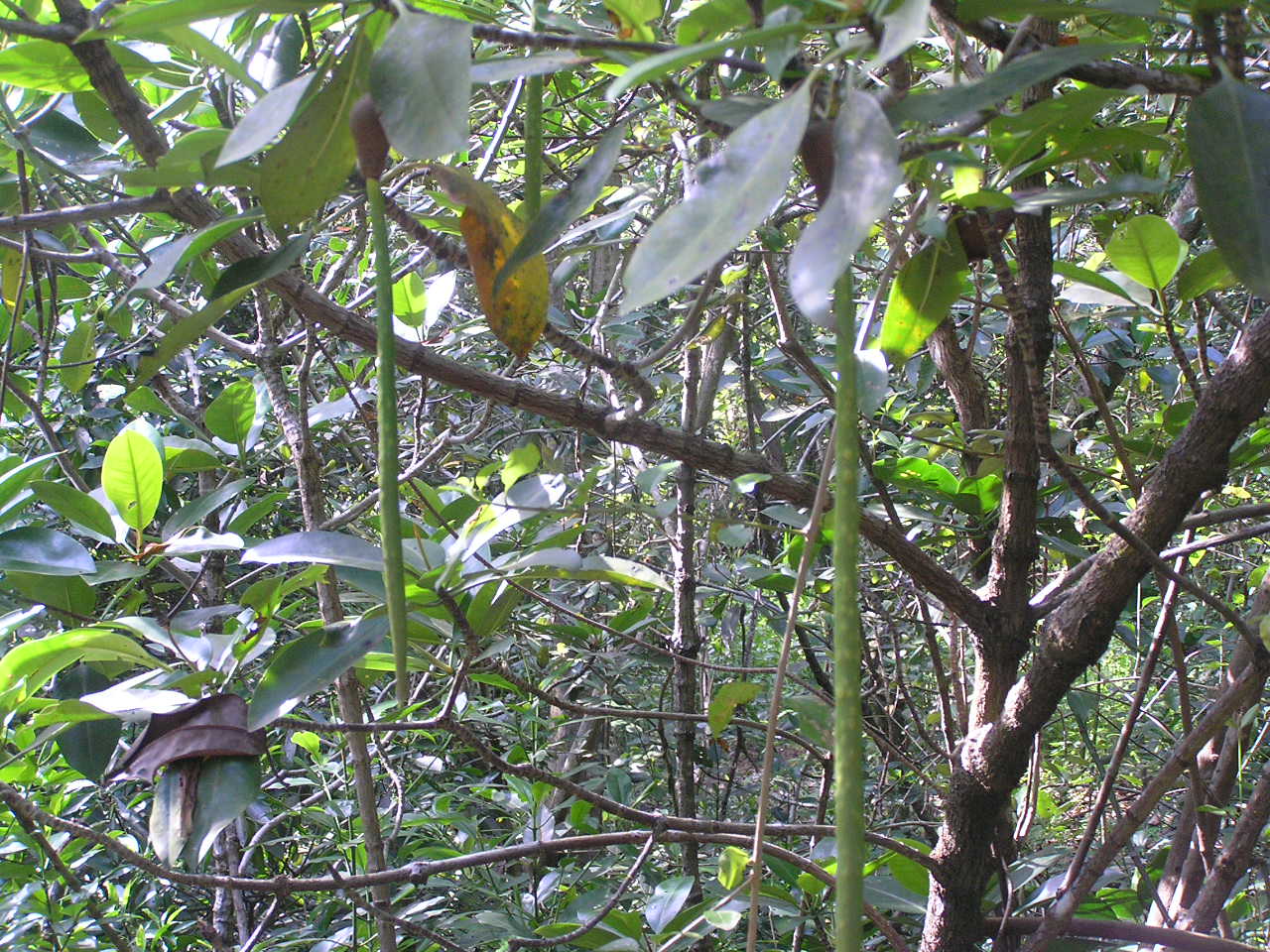 b0059350_1234436.jpg
