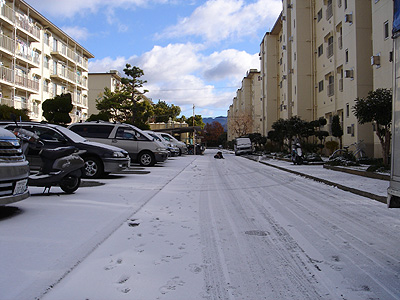 c0048467_22521129.jpg