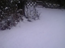 a0063072_11284292.jpg