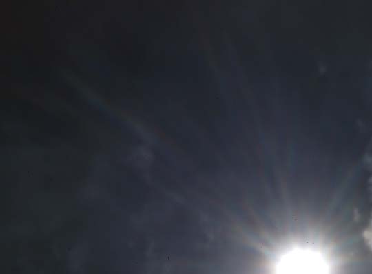 d0034980_230489.jpg