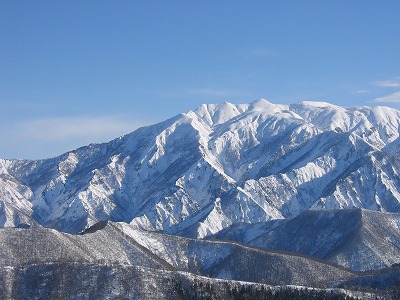 a0038882_225587.jpg