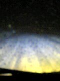e0047185_31198.jpg