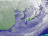 e0026989_7422178.gif