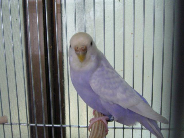 c0063795_1617266.jpg