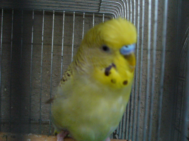 c0063795_16255252.jpg