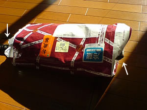 c0035001_163370.jpg