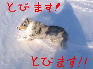 f0008706_034411.jpg