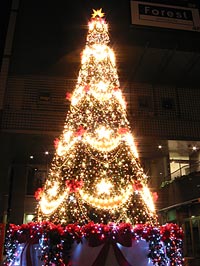 a0041508_221331.jpg