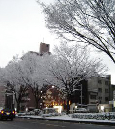 c0011009_10425253.jpg