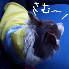 c0036617_18292571.jpg