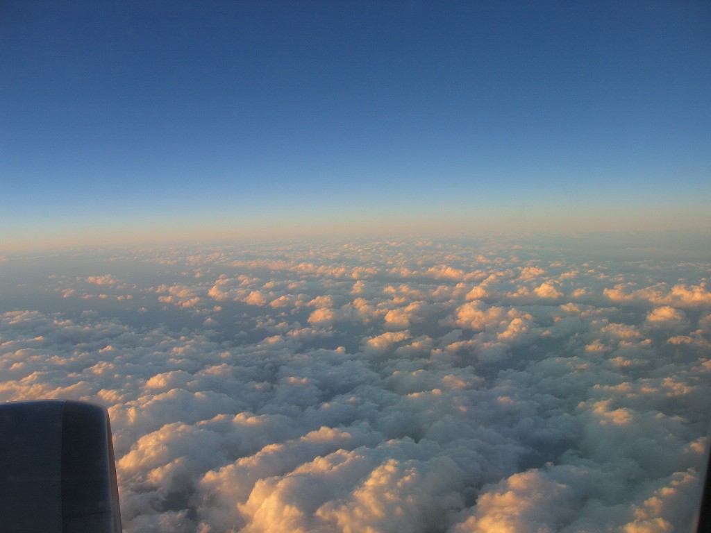 a0004023_924483.jpg
