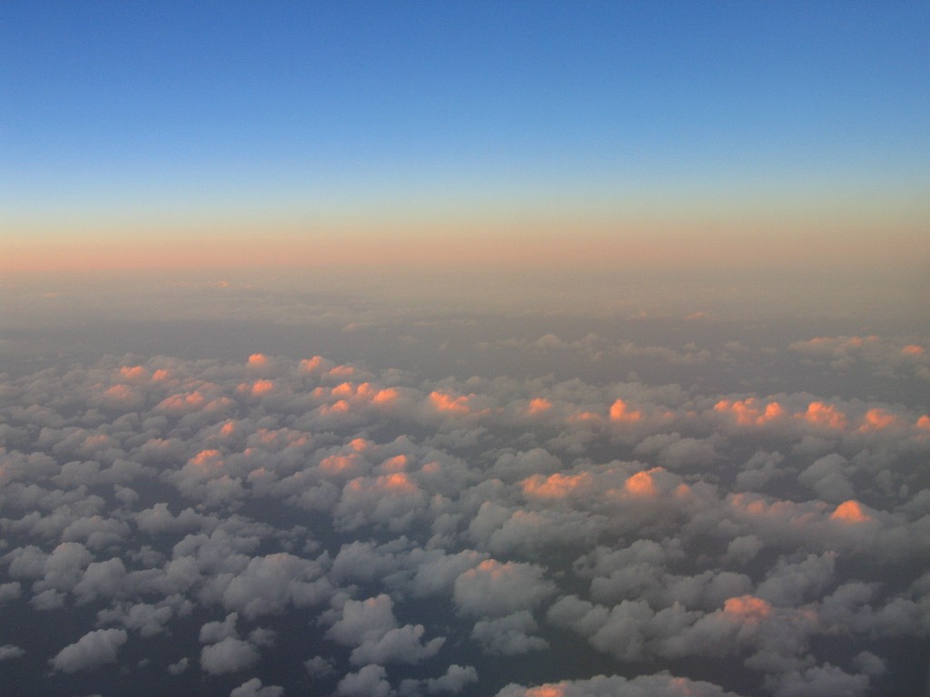 a0004023_9253522.jpg