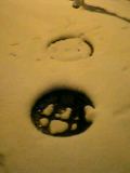 d0069233_364533.jpg