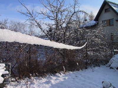 a0063364_7551347.jpg